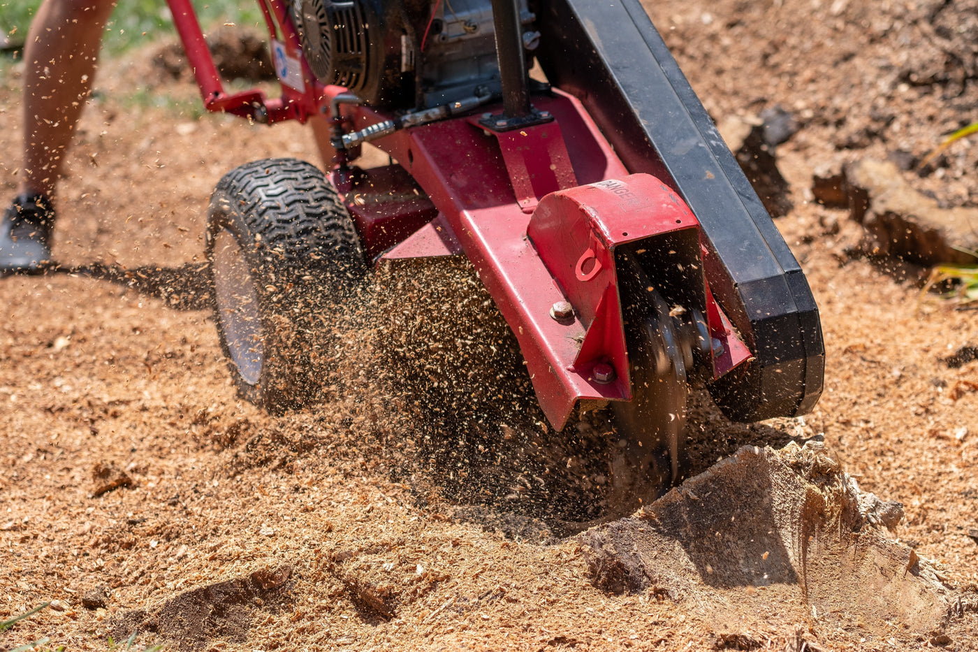 How to Grind a Tree Stump: DIY Step-by-Step Guide